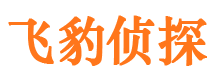 武川市婚姻出轨调查